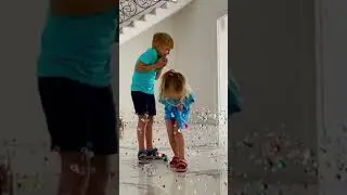 Орбизы 😍