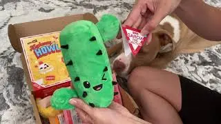 Barkbox August 2021 Opening