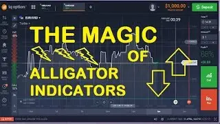 SECREET TRICK ALLIGATOR INDICATOR win ratio 99,999% binary option strategy