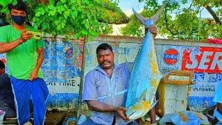 Super Fast Fish Cutter Mr.Kasimedu Selvam Two Big Queen Fish Cutting RS.4000 $ 53.60 CT360*