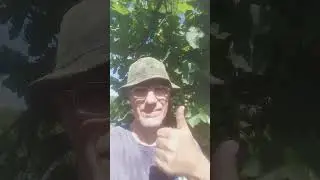 🍇🏡ВІТАЮ ДРУЗІ НА МАСТЕР КЛАСІ  👍🤝🌱