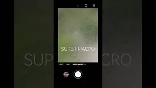 Super macro Huawei P30 Pro