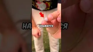 Эта Ягода Меняет Вкусы Человека !!!😳 #рекомендации