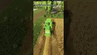 Wheat Harvest Farming Simulator 22 #shorts
