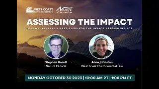 Assessing the Impact: Ottawa, Alberta, and next steps for the Impact Assessment Act