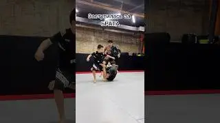 Заступница 🔥😅#shorts#sport#mma