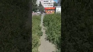Г.Оренбург дорога в 66 детский сад