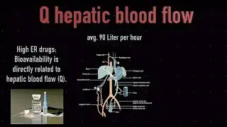 What You Never Knew About Bioavailability in Pharmacology