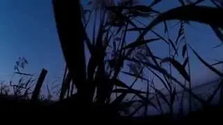 Охота на Азовском море