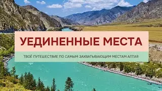 Туры на Алтай 2024 из Москвы