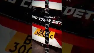Don’t #move  #raccoon  style - #civic  #eg  #cola