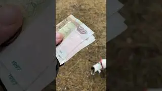 МИСТИКА ИЛИ НАРОДНОЕ ПОВЕРЬЕ!? РЫБОКОП