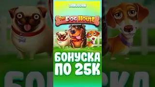Дог хаус по 25000 Данлудан #данлудан #казино #danludan