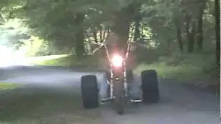 Harley Davidson trike chopper wild bill in  cogan station pa.