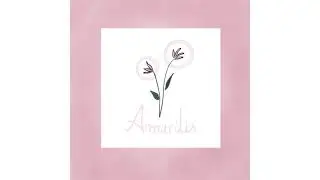 Bia Maria - Amarilis
