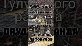 ВНИМАНИЕ! банда 