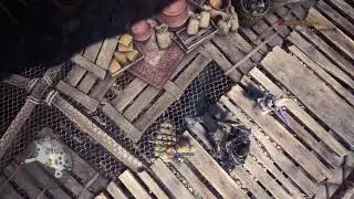 Mhw