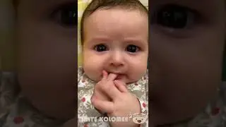 Babies Funny Moments : Try Not To Laugh ! | #77 | funny baby videos