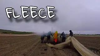Fleece - флис