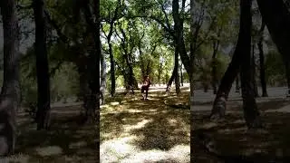 When Valhalla Calls!