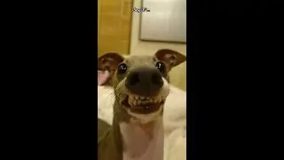 Check this clip