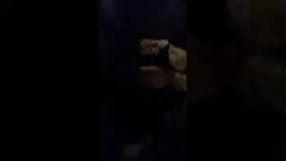 Найдена в Раменском районе