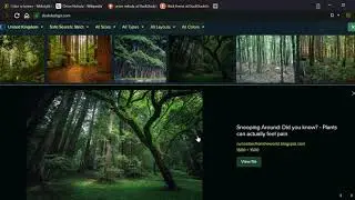 midnight-lizard.org | color schemes for all websites