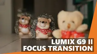 Panasonic Lumix G9 II Focus Transition