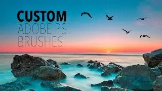 How To Create A Bird Brush in Photoshop