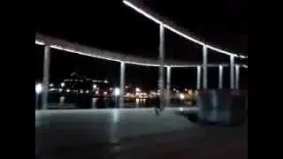 Дикая Барса. день 7. теперь ваще все все деньги потратили)))))