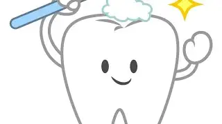Everything about teeth (class 4th,  ICSE) ✨💡✨
