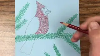 Cardinal Demonstration