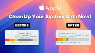How to Clean System Data On Your Mac (Complete Guide)