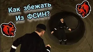 КАК сбежать с ТЮРЬМЫ на BLACK RUSSIA #blackrussia #crmpmobile