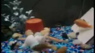 pet video