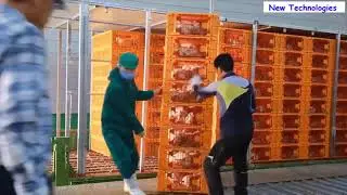 Incredible Modern Chicken Meat Processing Factory, Amazing Automatic Food Processing Machines