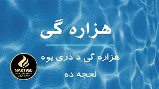 هزاره ګی ژبه/ازرګی/هزارګی/هزرگی/ازرگی