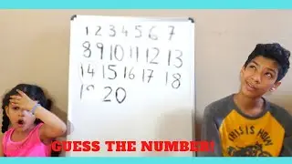 Guess the CORRECT Number Challenge! w/ Ansel and Amelia