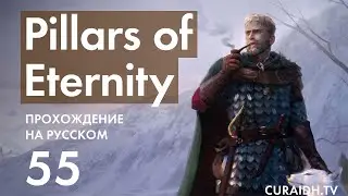 Прохождение Pillars of Eternity - The White March - 55 - Приливная Волна (Разговор с Ондрой)