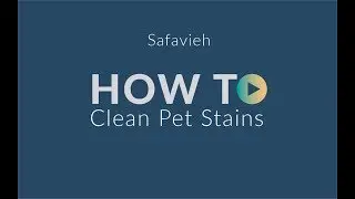 Remove Pet Stains from Carpets - Safavieh.com