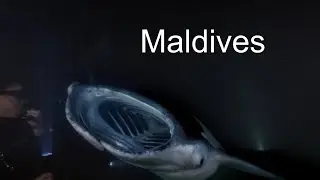 Maldives