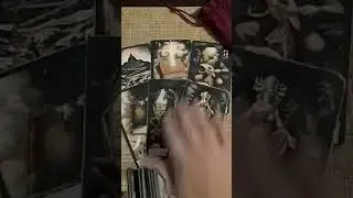 Планирует ли проявиться?