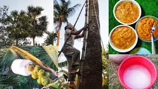 Pure palm🌴jaggery, collected from the rural environment, is a delicious food