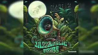 Slide - Back from DMT