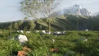 Blender 3d: Rocky Field