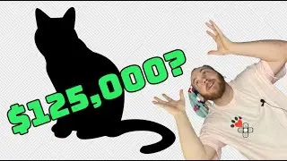 Why Is This Cat Breed $125,000? - Paws 2 Care 4