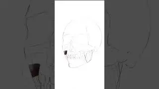 Common Mistakes Artists Make When Drawing The Head-13 
