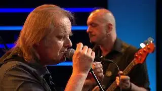Walter Trout - 