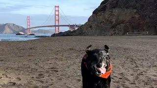 Baker Beach, San Francisco