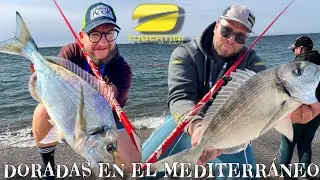 💛 JORNADA NADA MÁS LLEGAR Y TRIUNFAR SURFCASTING DORADAS EN EL MEDITERRÁNEO 🖤